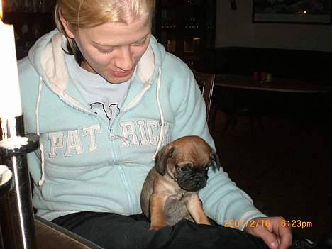 Blanding af racer Magnus - Skal hjem til mine nye forældre... billede 5