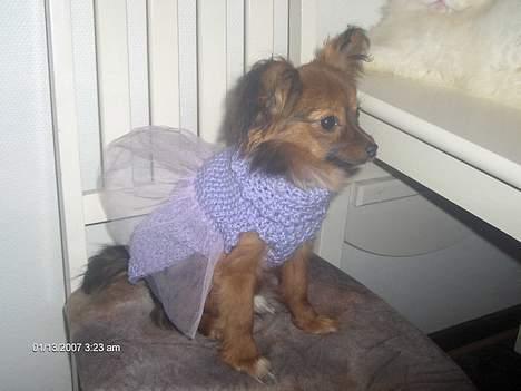 Blanding af racer barbie - Barbie i profil billede 2