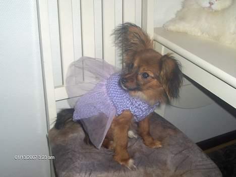 Blanding af racer barbie - Hun elsker at blive fotograferet billede 3