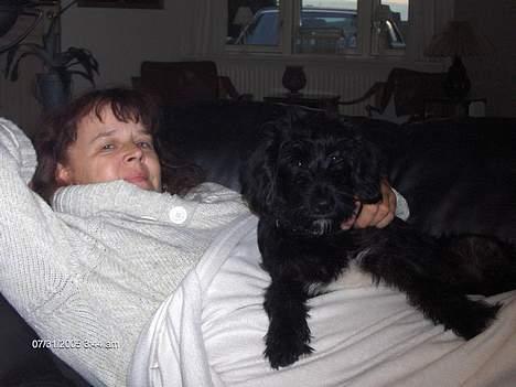 Blanding af racer bølle - hygger med mor i sofaen billede 2