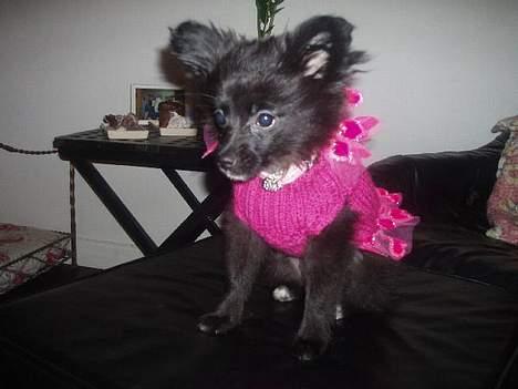 Blanding af racer madonna - her spiller Madonna storsnudet billede 7