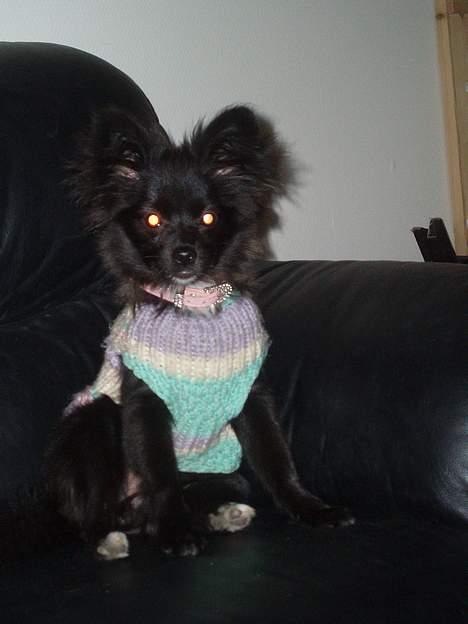 Blanding af racer madonna - Madonna min skat billede 14