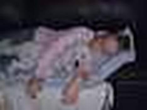 Dværgpuddel Frodo billede 10