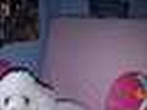 Dværgpuddel Frodo billede 12