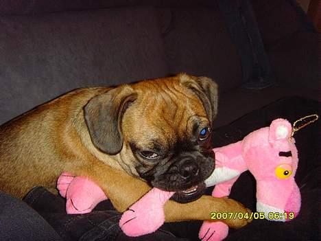 Blanding af racer Magnus - Mmmm Øhh hvad, hvem, hvor... MIG? billede 6