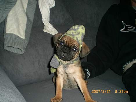 Blanding af racer Magnus - Så fin med hat og tørklæde billede 8