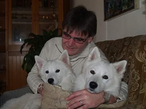 Dansk Spids Elvis - "far" hygger med Mik og mig billede 17