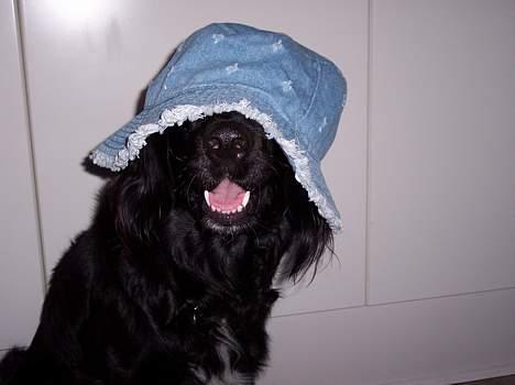 Blanding af racer Eico billede 8