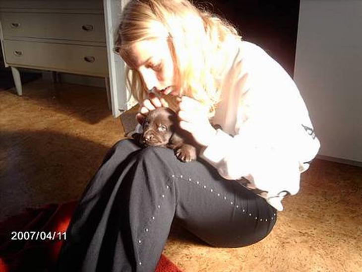 {{currentPhoto.altText}} billede {{currentPhoto.number}}