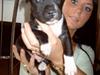 Amerikansk staffordshire terrier Kenzo