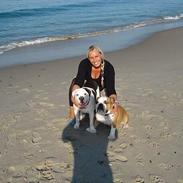 Olde english bulldogge Emma