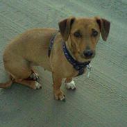 Blanding af racer Naomi