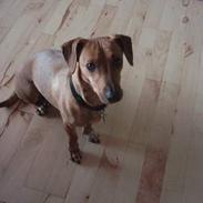 Blanding af racer Naomi