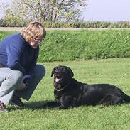 Blanding af racer Carlo