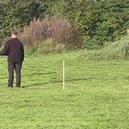 Blanding af racer Carlo