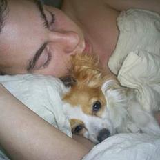 Papillon Tøsen RIP døde d. 24/7 09