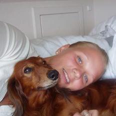 Gravhund Simba (Død 12/5-08 :( )