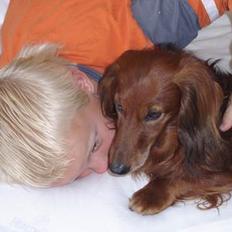 Gravhund Simba (Død 12/5-08 :( )