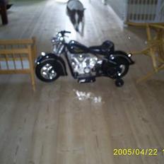 Dansk svensk gaardhund Tøsen <3 ¤ Anée's¤ 