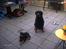 Rottweiler Frida - her er jeg så sammen med storebror chiko på 7 år
