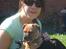 Staffordshire bull terrier ENVY