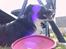 Border collie Jesse James - elsker sommer og sol