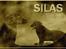 Labrador retriever Silas * R.I.P. * - Smuk i alle farver .