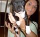 Amerikansk staffordshire terrier Kenzo