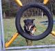 Blanding af racer Rollo