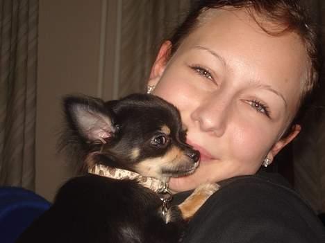 Chihuahua Tyson - Glad hund og ejer billede 4