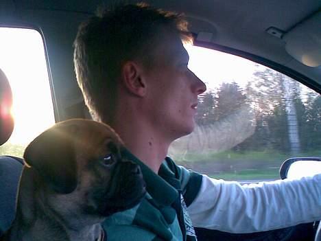 Blanding af racer Magnus - Som far så søn...  billede 12