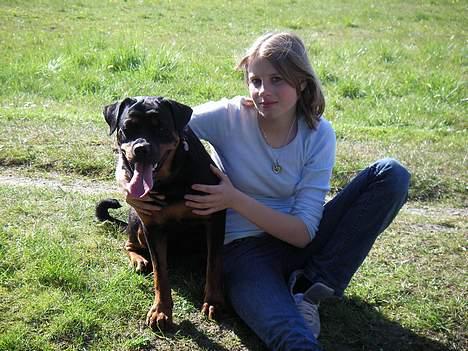 Rottweiler Taija billede 13