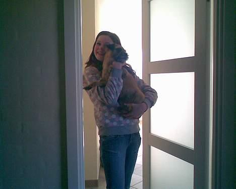 Border terrier Acita - Sabrina og migxD billede 14