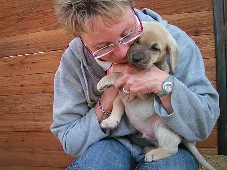 Broholmer Tjalfe - Her får vi Tjalfe, fredag d. 13-04-07 billede 2