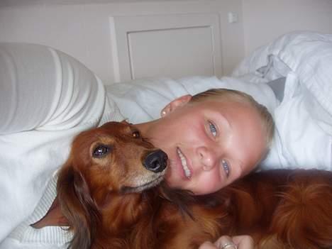 Gravhund Simba (Død 12/5-08 :( ) - Det er så hyggeligt at hygge med dig sisse.. billede 2