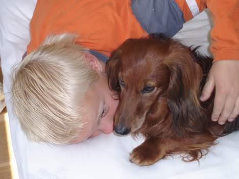 Gravhund Simba (Død 12/5-08 :( ) - Gir lige et dejligt kram til min storebror.. billede 3