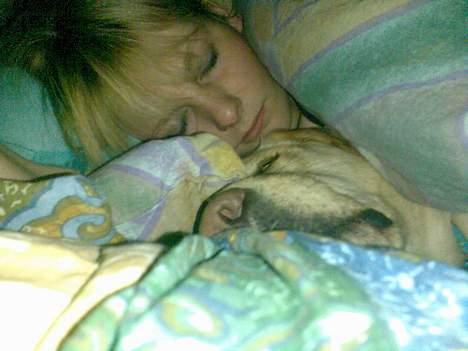 Labrador retriever Tinka - sådan sover vi hver nat :D billede 6