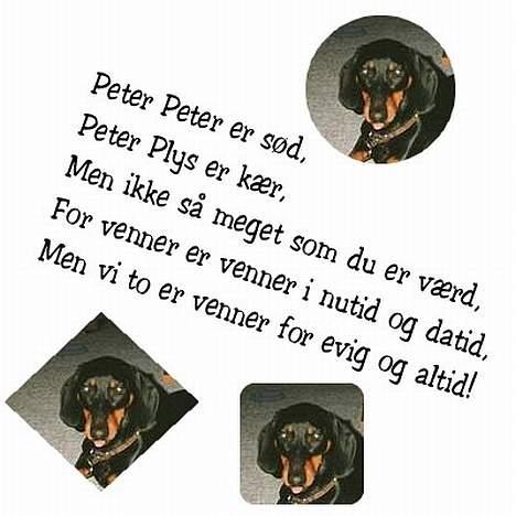 Gravhund Rufus (Agry) *R.I.P.* - Et lille digt om min skønne Fufu <33 lsket og Savnet! :´( Savner ham forfærdelig meget! :´( Han var sq bar´ min skat! billede 13