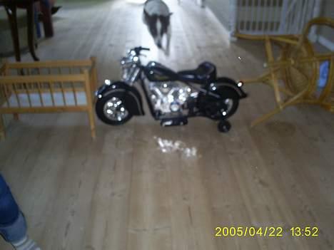 Dansk svensk gaardhund Tøsen <3 ¤ Anée's¤  - Hop <3 billede 2