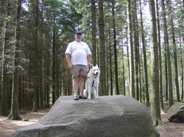 Hvid schæfer olsen - det er min far og mig på bornholm billede 3