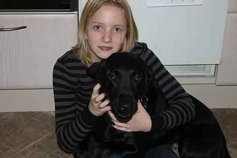 Labrador retriever Silas * R.I.P. * - Det er så mig og Camilla . Men det er et lidt gammelt billed :D billede 10