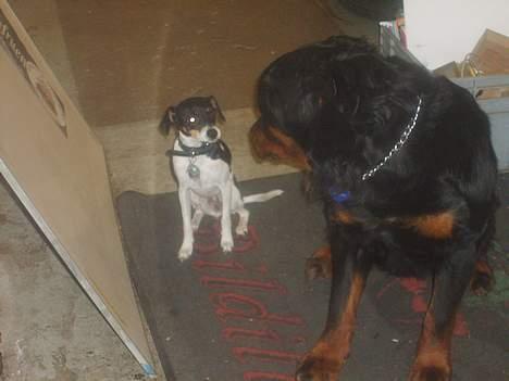 Blanding af racer Baby - baby med sin lækre kæreste billede 14