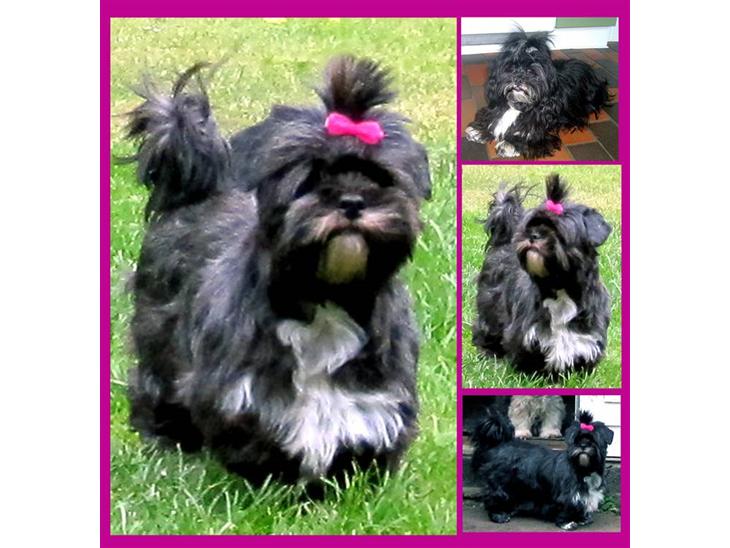 {{currentPhoto.altText}} billede {{currentPhoto.number}}