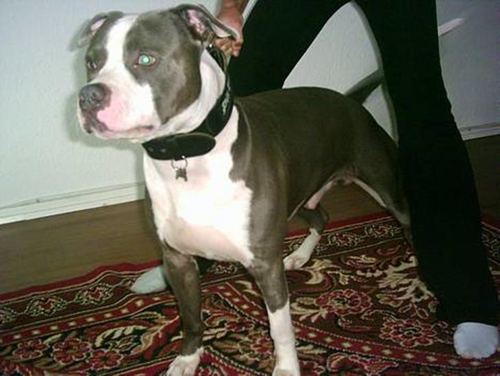 {{currentPhoto.altText}} billede {{currentPhoto.number}}