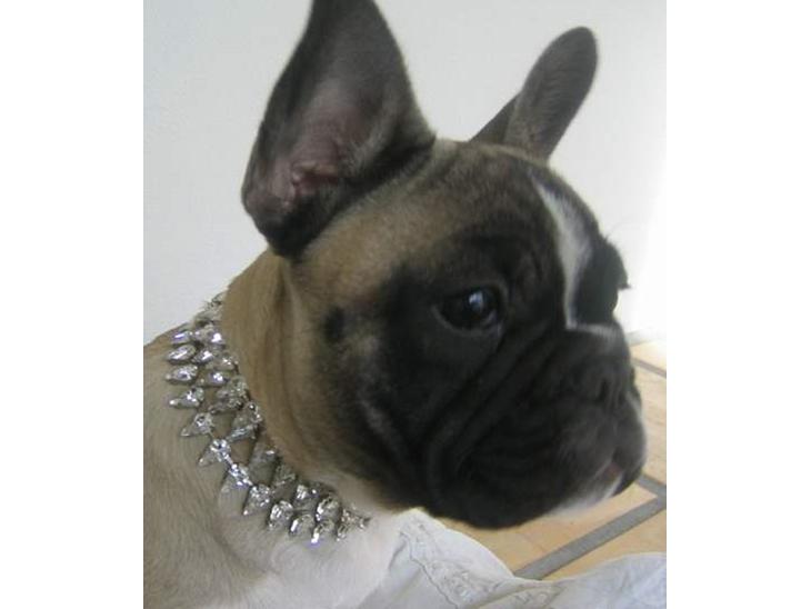 {{currentPhoto.altText}} billede {{currentPhoto.number}}