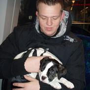 Blanding af racer Balou