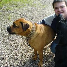 Blanding af racer molly (R.I.P 11-01/08) 