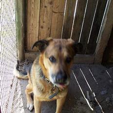 Blanding af racer Nicki