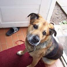 Blanding af racer Nicki