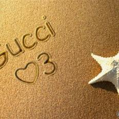 Chihuahua Gucci Baby<3